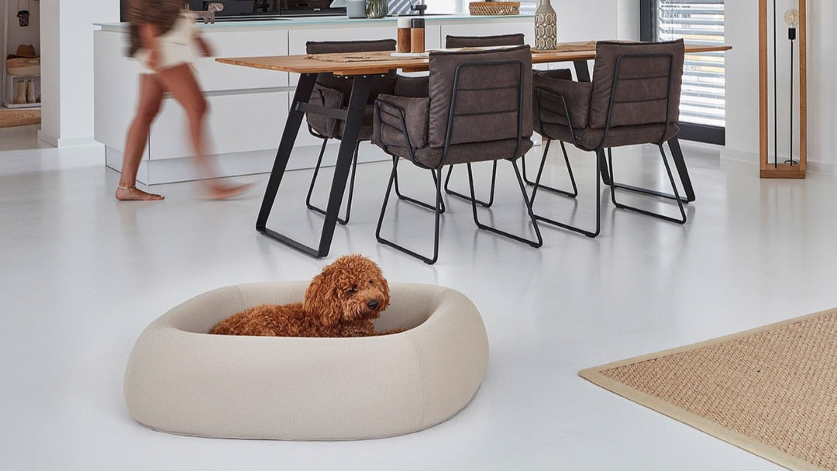 The Top 7 Stylish and Sustainable Dog Beds for Modern Homes - SHOOBY Boutique