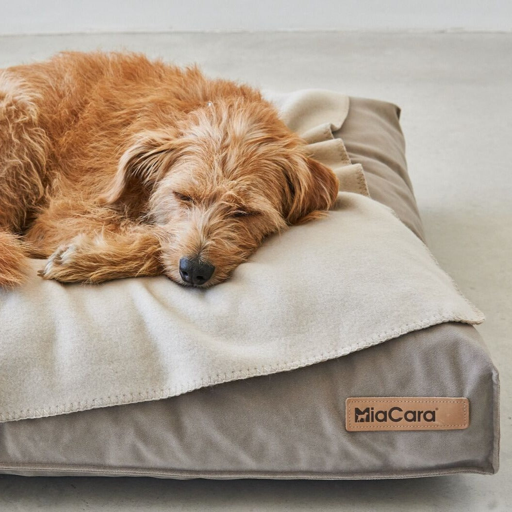 MiaCara Unica Dog Blanket