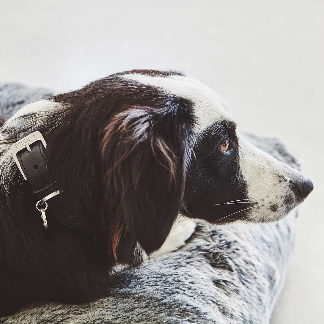 Luxury Orthopedic Faux Fur Dog Cushion MiaCara Felpa