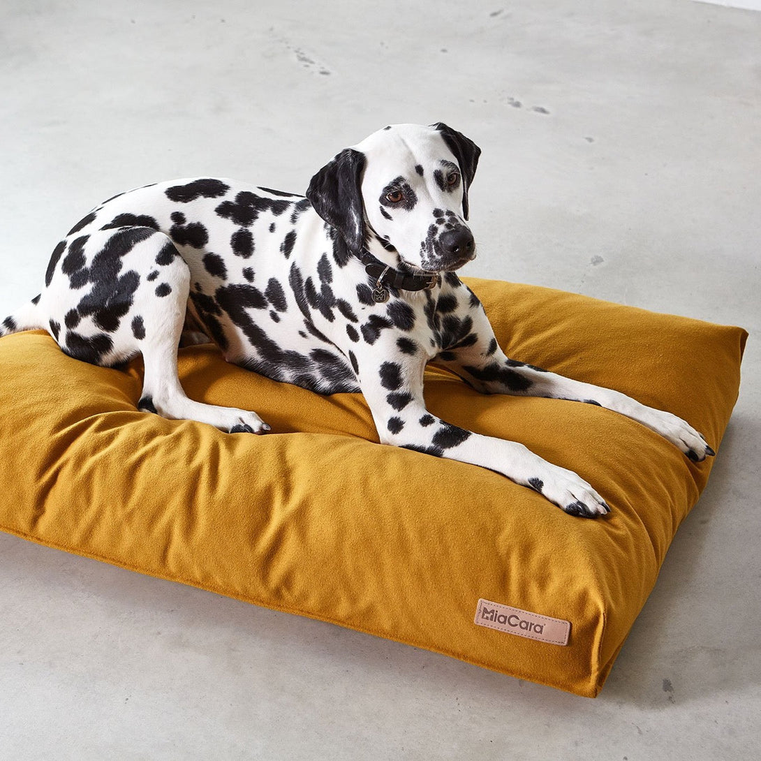 Yellow Saffron Classic Dog Cushion MiaCara