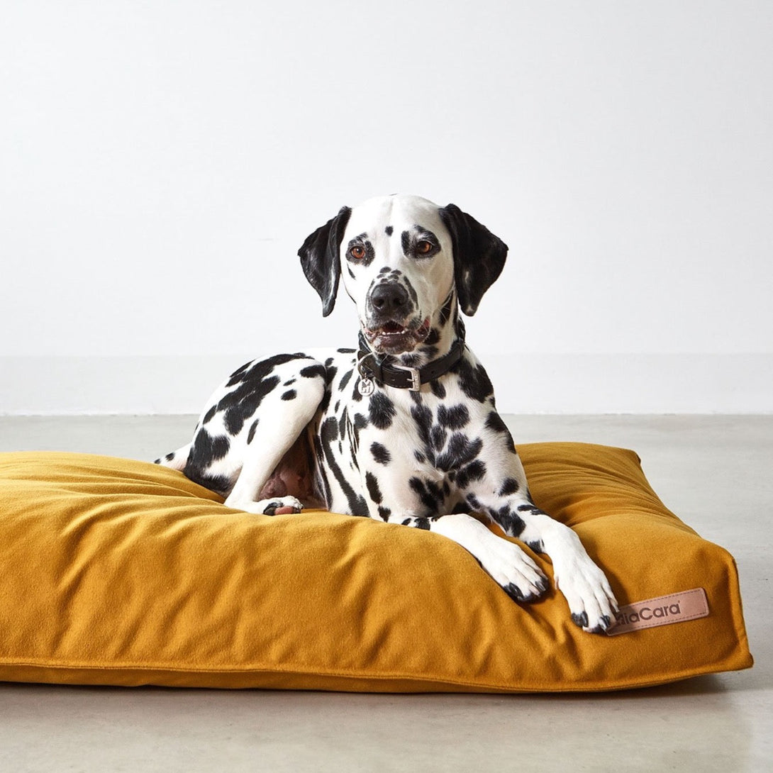 MiaCara Luxury Classic Dog Cushion Saffron Yellow