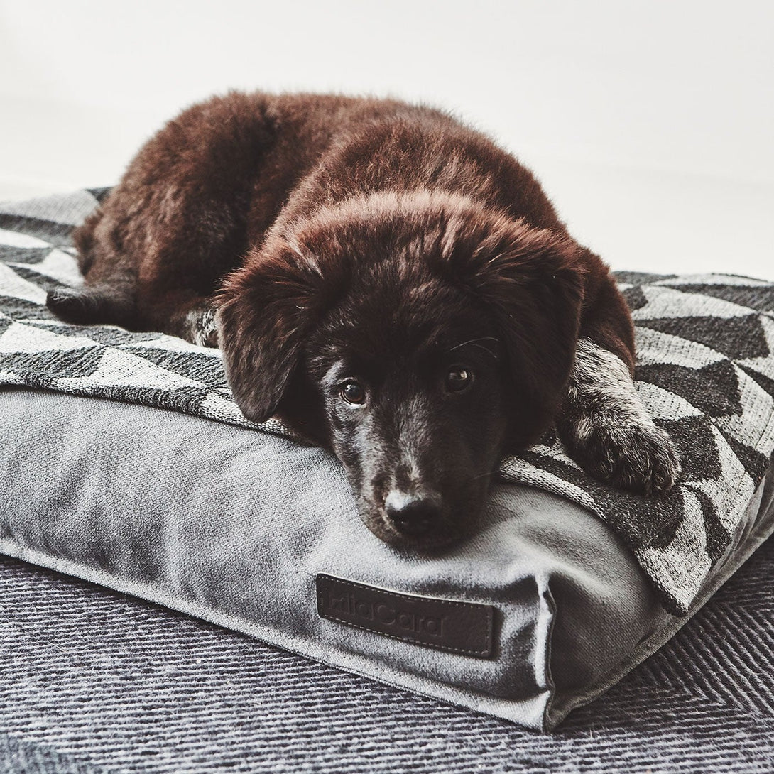 MiaCara Classic Grey Aesthetic Dog Cushion