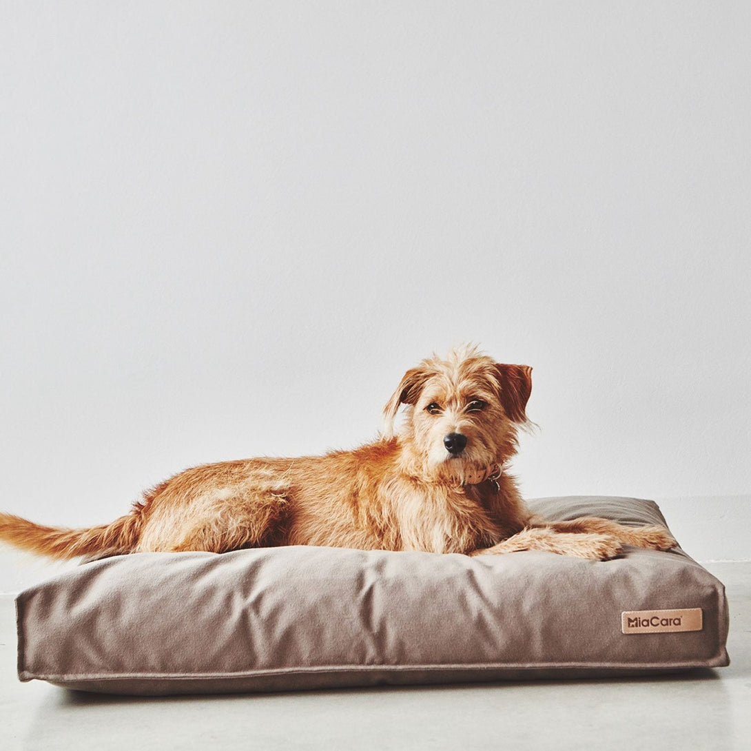 MiaCara Classic Taupe Aesthetic Dog Cushion