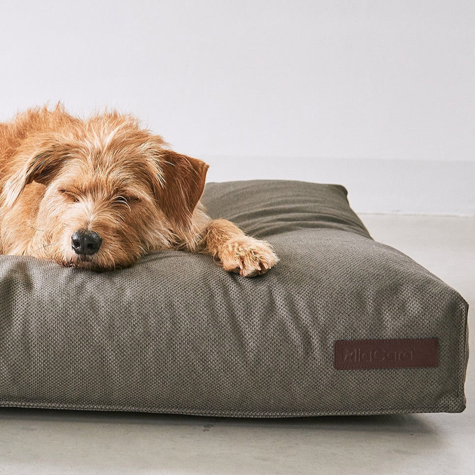 Comfortable MiaCara Eco- friendly dog cushion Mare with washable cover in neutral colors