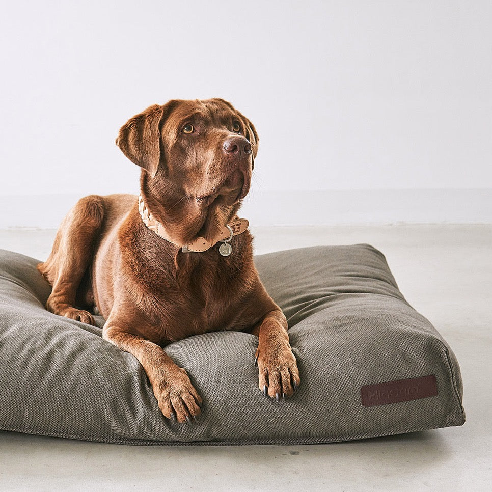 MiaCara Environmentally friendly dog cushion Mare with washable cover Grey