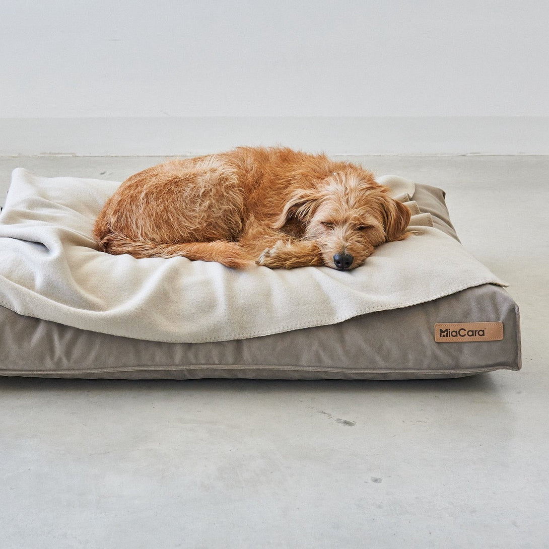 MiaCara Dog Cushion Velluto - EasyClean technology Greige