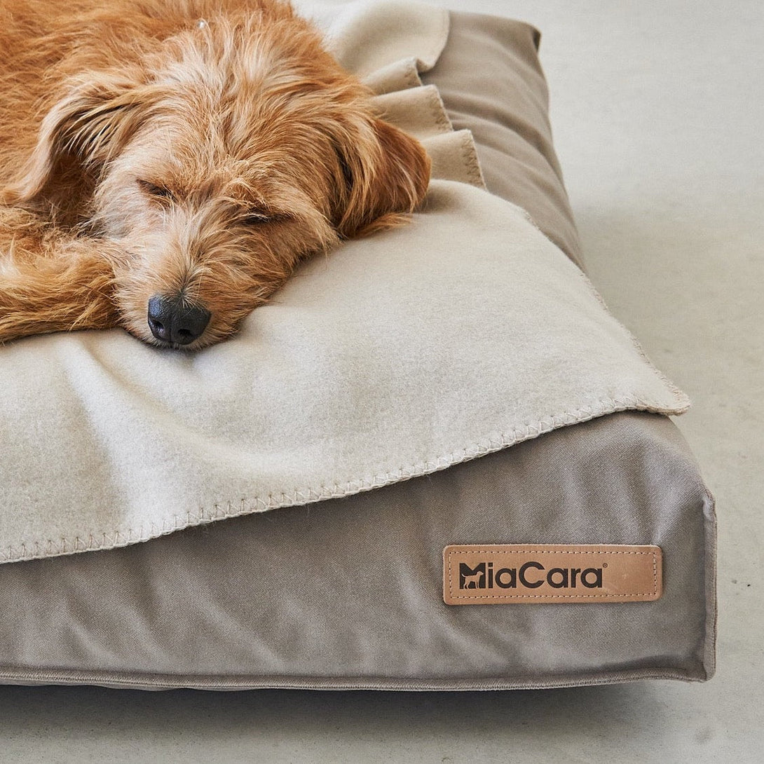 MiaCara Dog Cushion Velluto - EasyClean technology Greige Beige