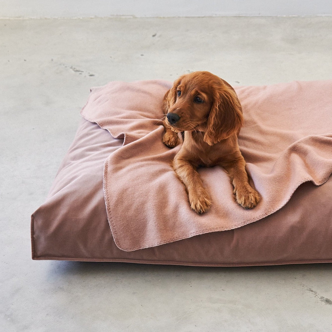 MiaCara Dog Cushion Velluto - EasyClean technology Pink