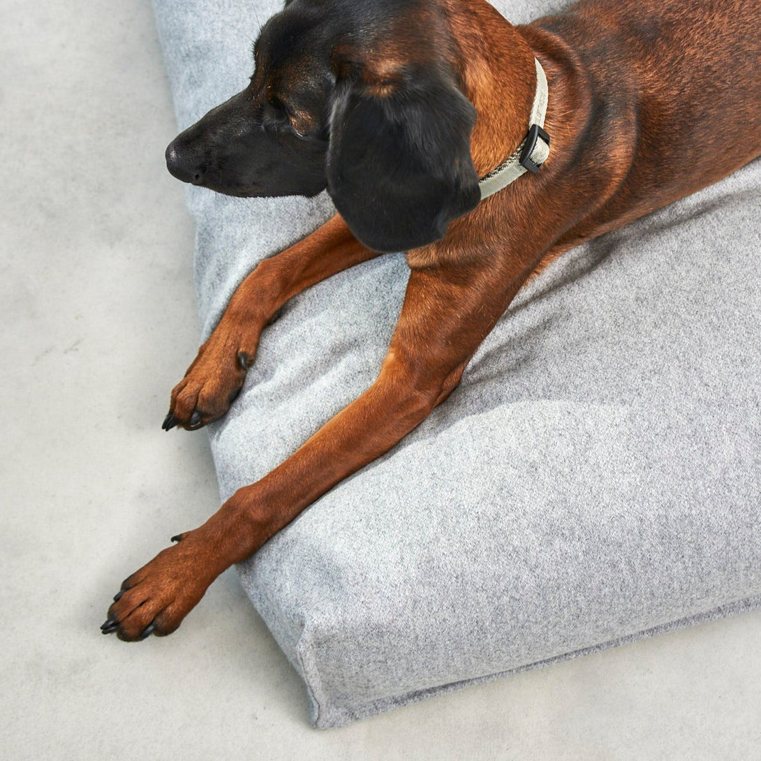 MiaCara Calma Dog Cushion Pebble Grey