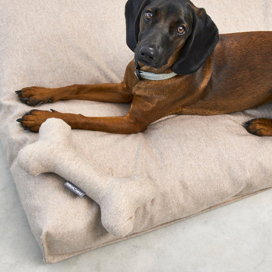MiaCara Calma Dog Cushion Beige