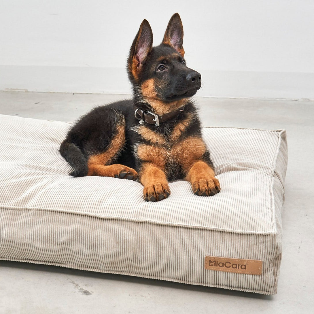 MiaCara Cordo Dog Cushion Greige