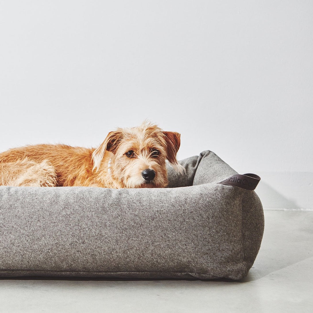 Comfortable MiaCara Stella dog bed