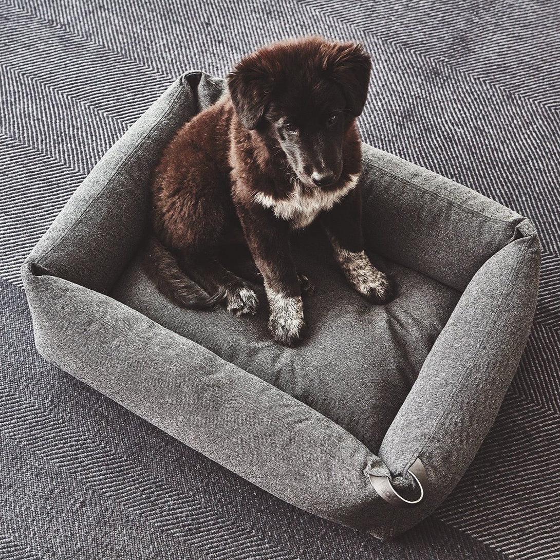 Comfortable MiaCara dog bed