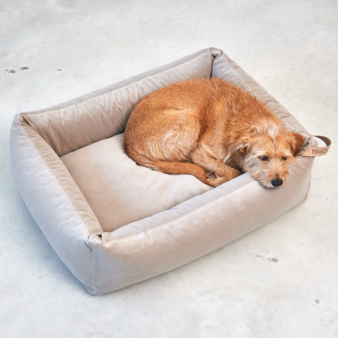 Neutral Beige Greige Modern Dog Box Bed Miacara MiaCara - Easy to clean with water thanks to the EasyClean technology 