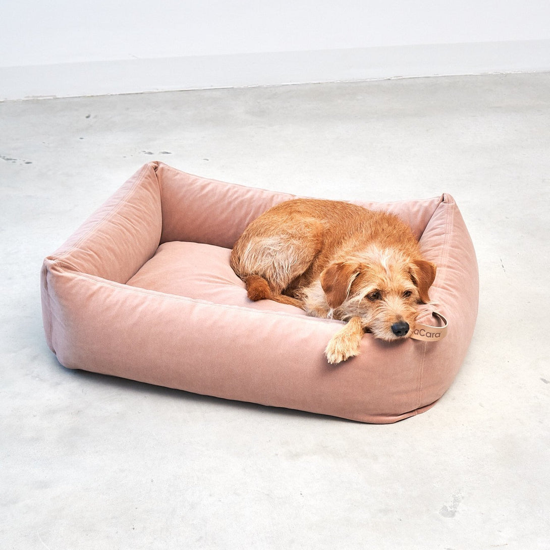Modern Dog Box Bed Miacara MiaCara - Easy to clean with water thanks to the EasyClean technology Pink Nude