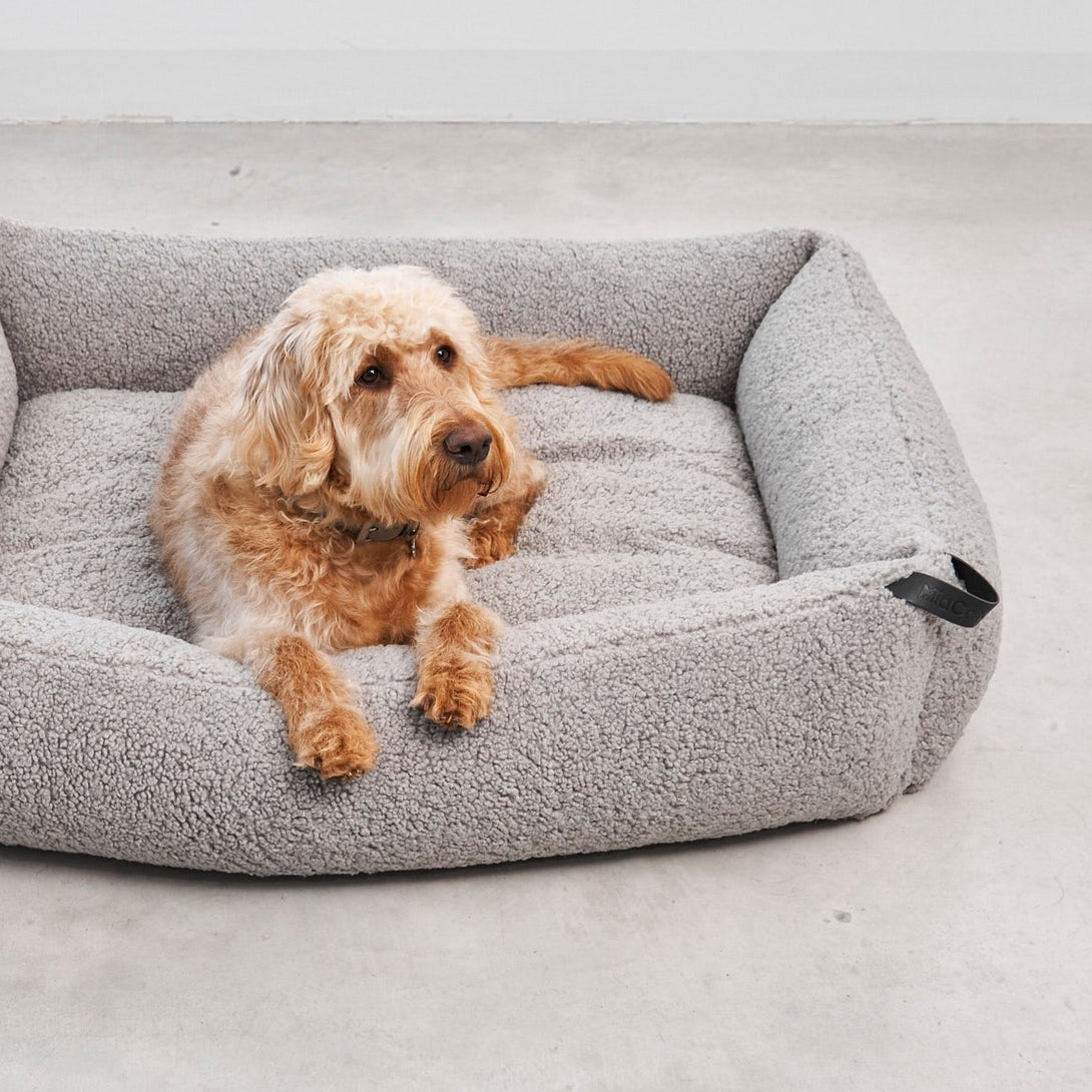 Aesthetic Bouclé Box Dog Bed - Light grey - MiaCara