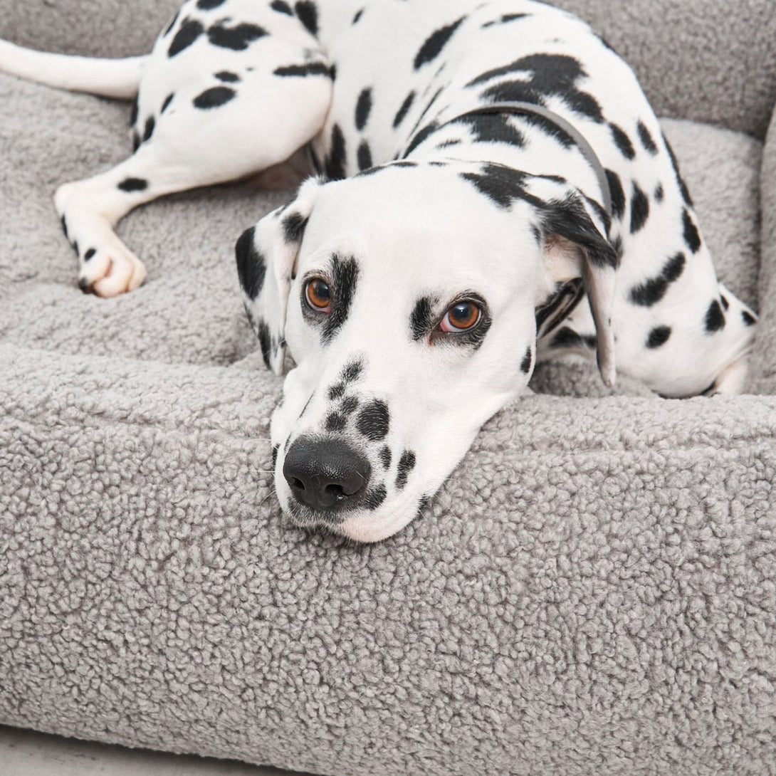 Modern Luxury Aesthetic Bouclé Box Dog Bed - Light grey - MiaCara
