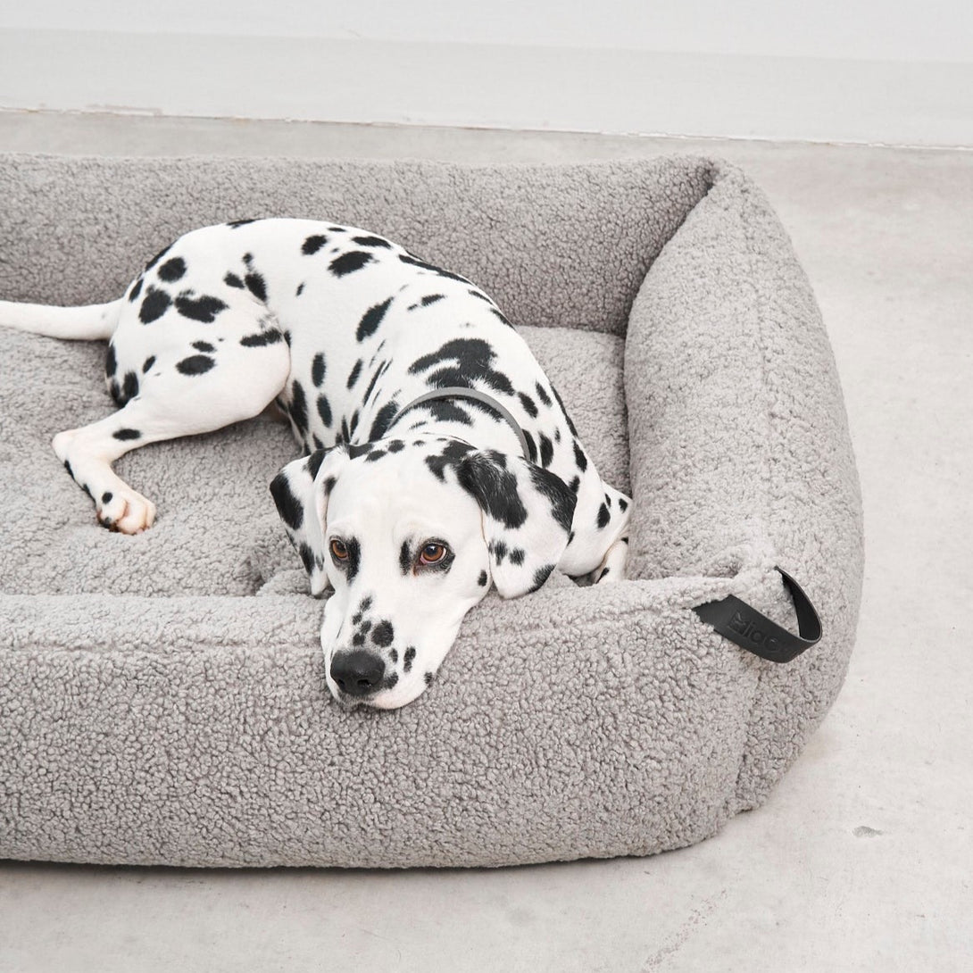 Luxury Aesthetic Bouclé Box Dog Bed - Light grey - MiaCara