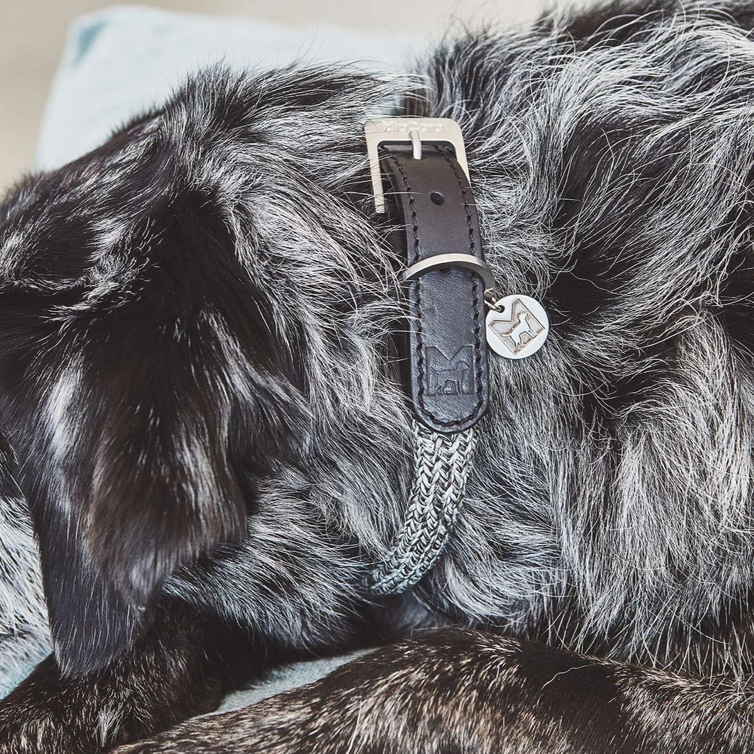 Luxury MiaCara Rope Leather Dog Collar Lucca - Black and Ferro