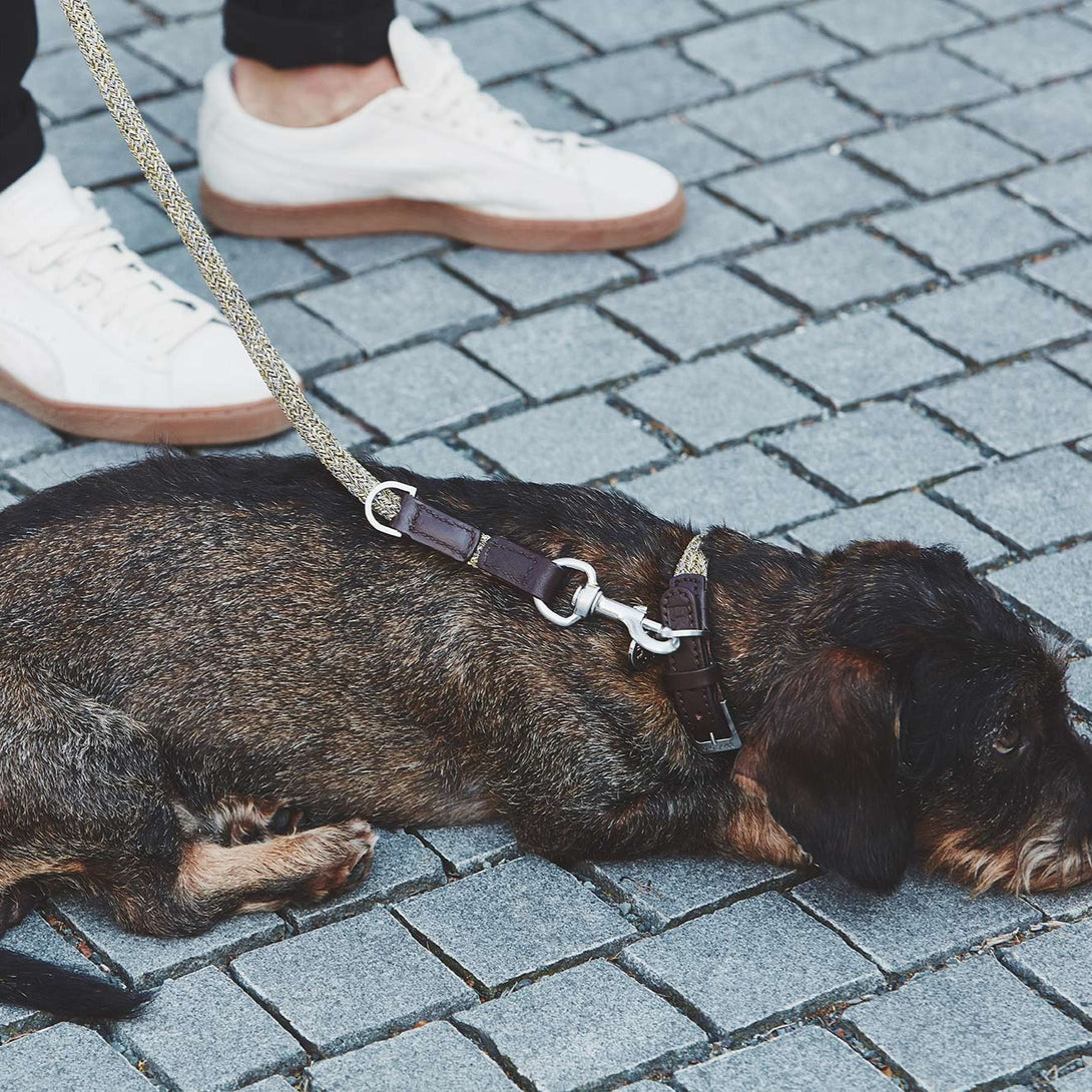 Luxury MiaCara Rope Leather Dog Collar Lucca - Senape Brown