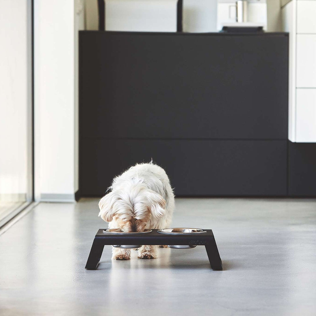 MiaCara Designer Desco Dog Feeder - Stainless Steel Bowls Black