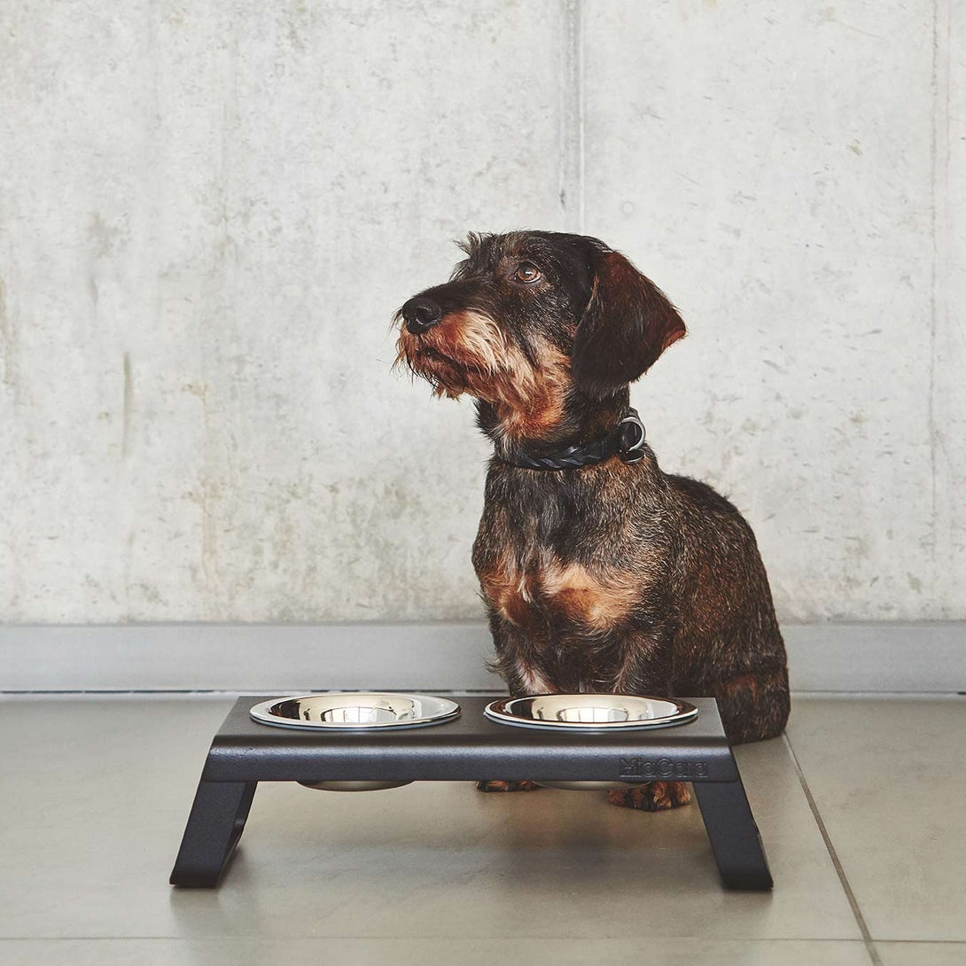 MiaCara Designer Desco Dog Feeder - Stainless Steel Bowls Black