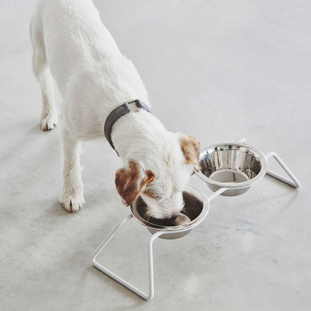 MiaCara Cena Dog Feeder - Stainless Steel Bowls Concrete Beige