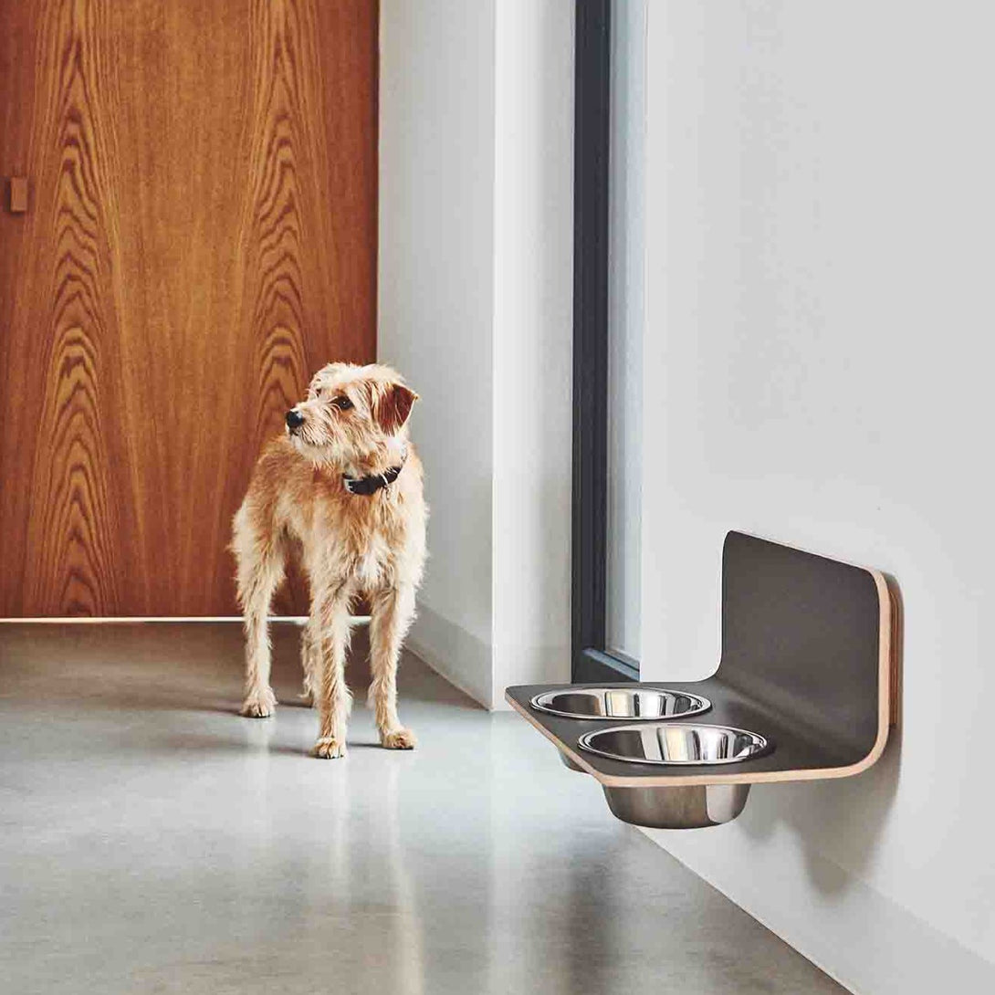 Designer Arco Dog Feeder - Stainless Steel Bowls