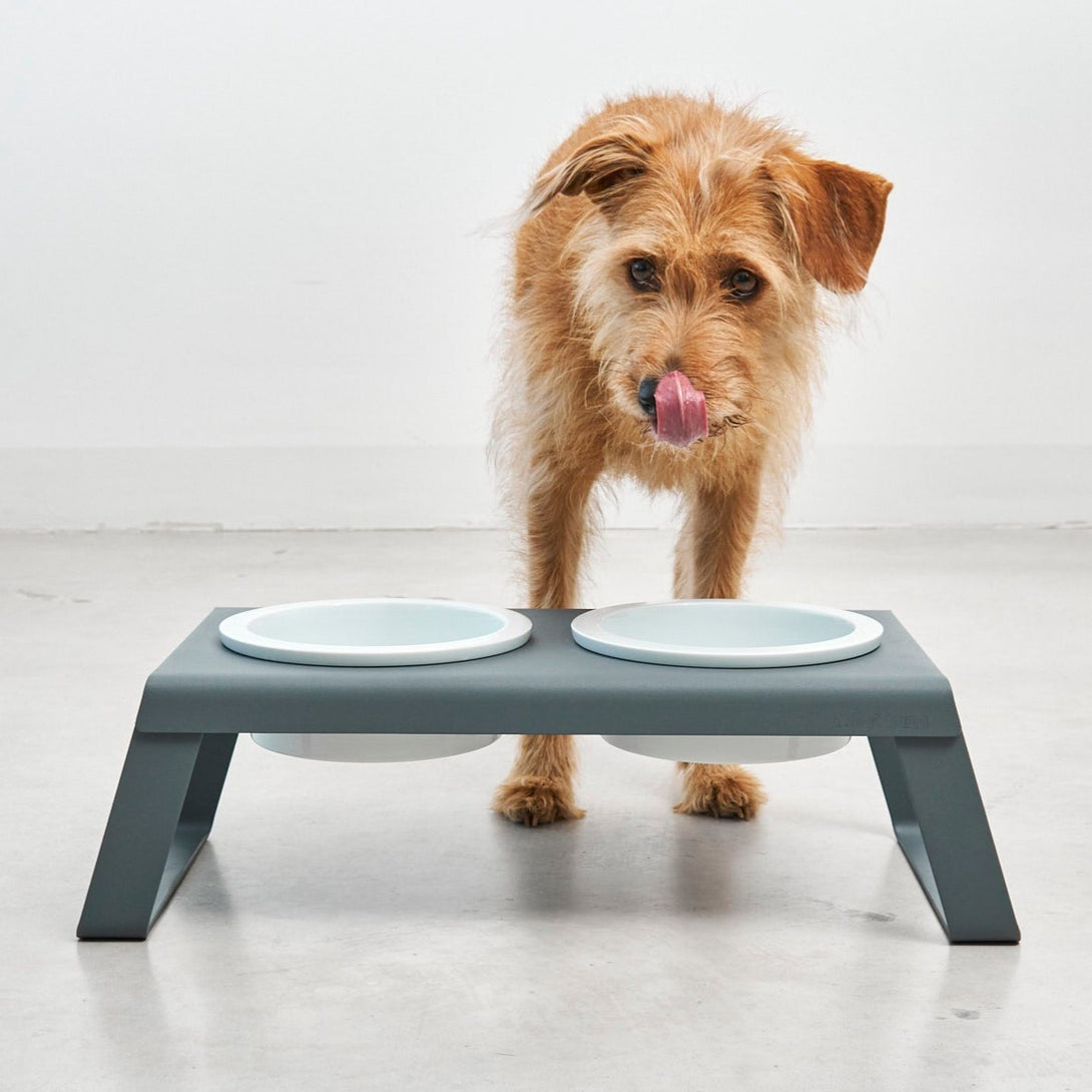 Modern MiaCara Desco Luxury Designer Dog Feeder - Porcelain Bowls