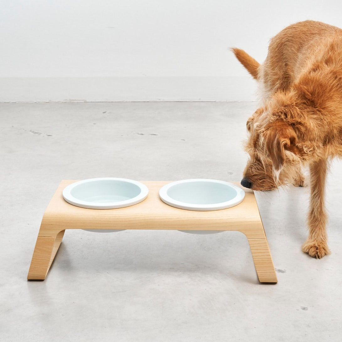 Modern MiaCara Desco Luxury Designer Dog Feeder - Porcelain Bowls - Wood