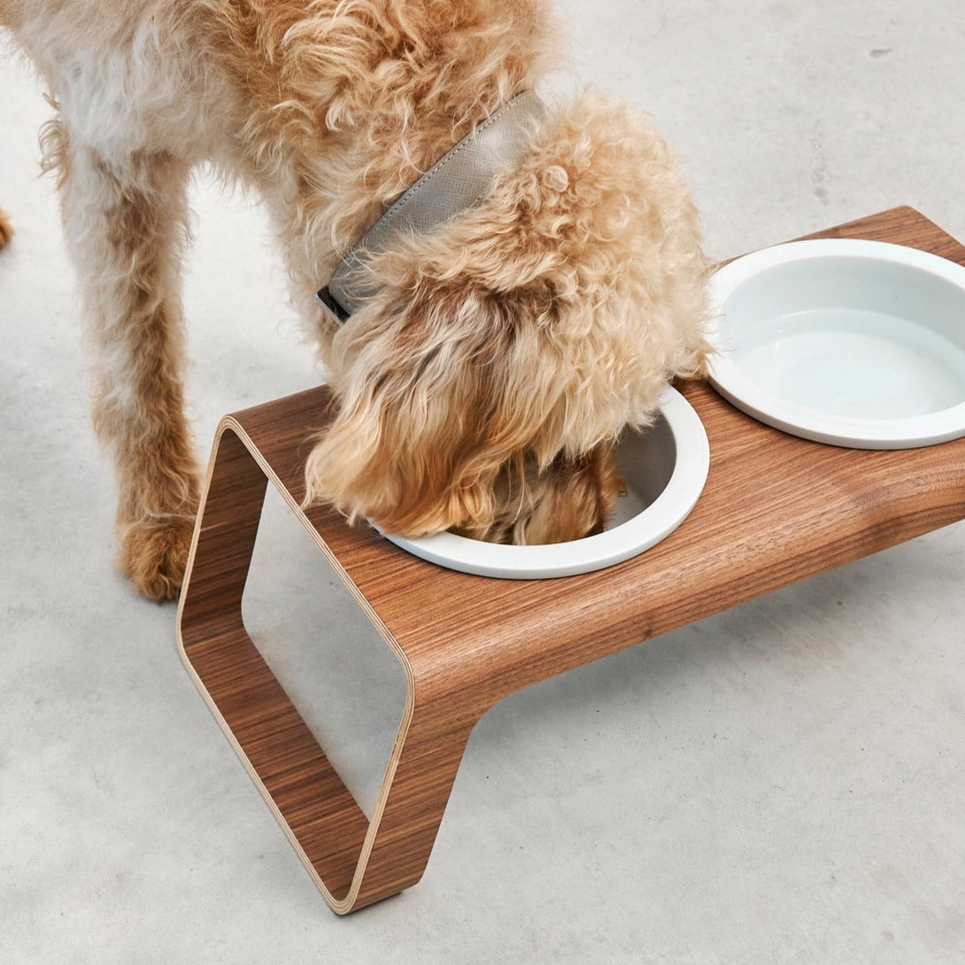Modern MiaCara Desco Luxury Designer Dog Feeder - Porcelain Bowls - Wood Walnut