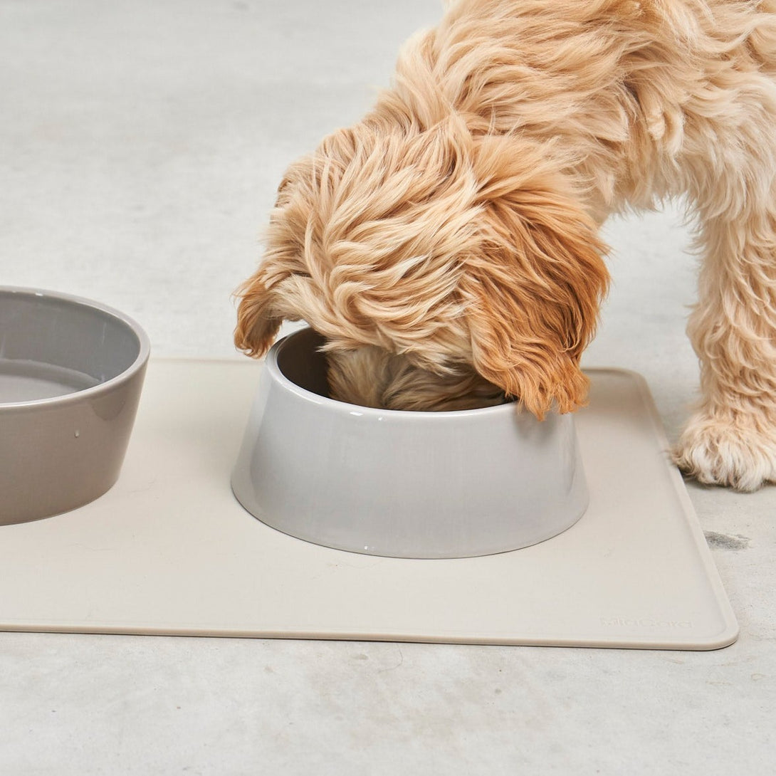 MiaCara Doppio Dog Bowl Set Porcelain Nougat Beige