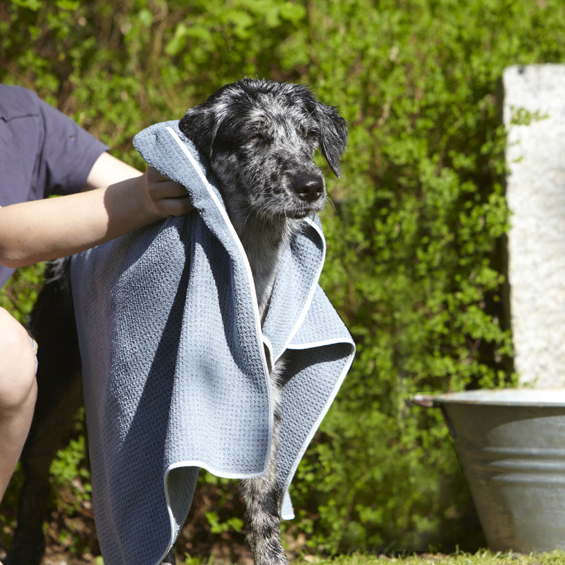 MiaCara Panno Dog Towel
