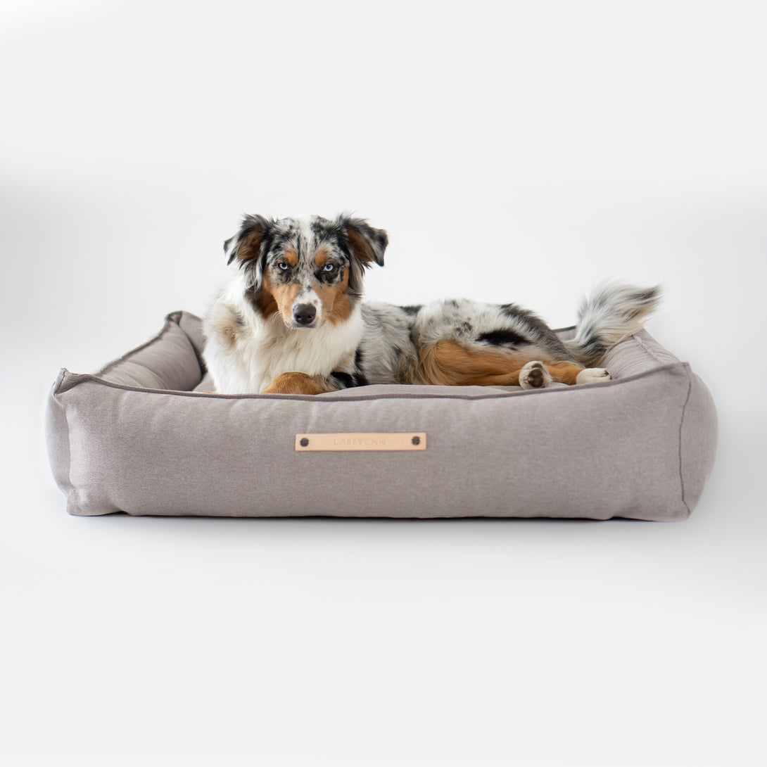 Modern Labbven dog bed