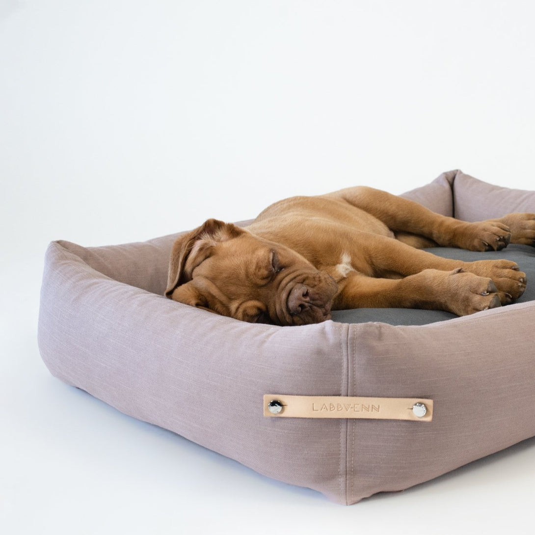 Comfortable Labbvenn dog bed pink