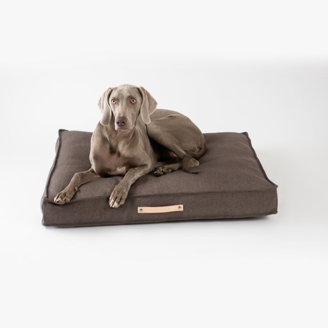 Classic Dog Cushion Labbvenn Brown