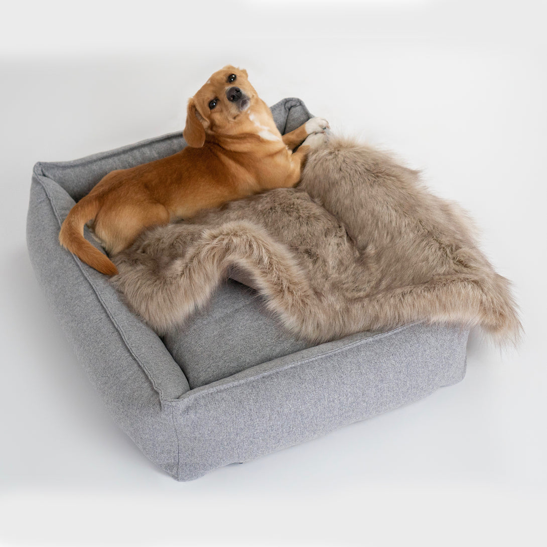 Comfortable luxury dog bed