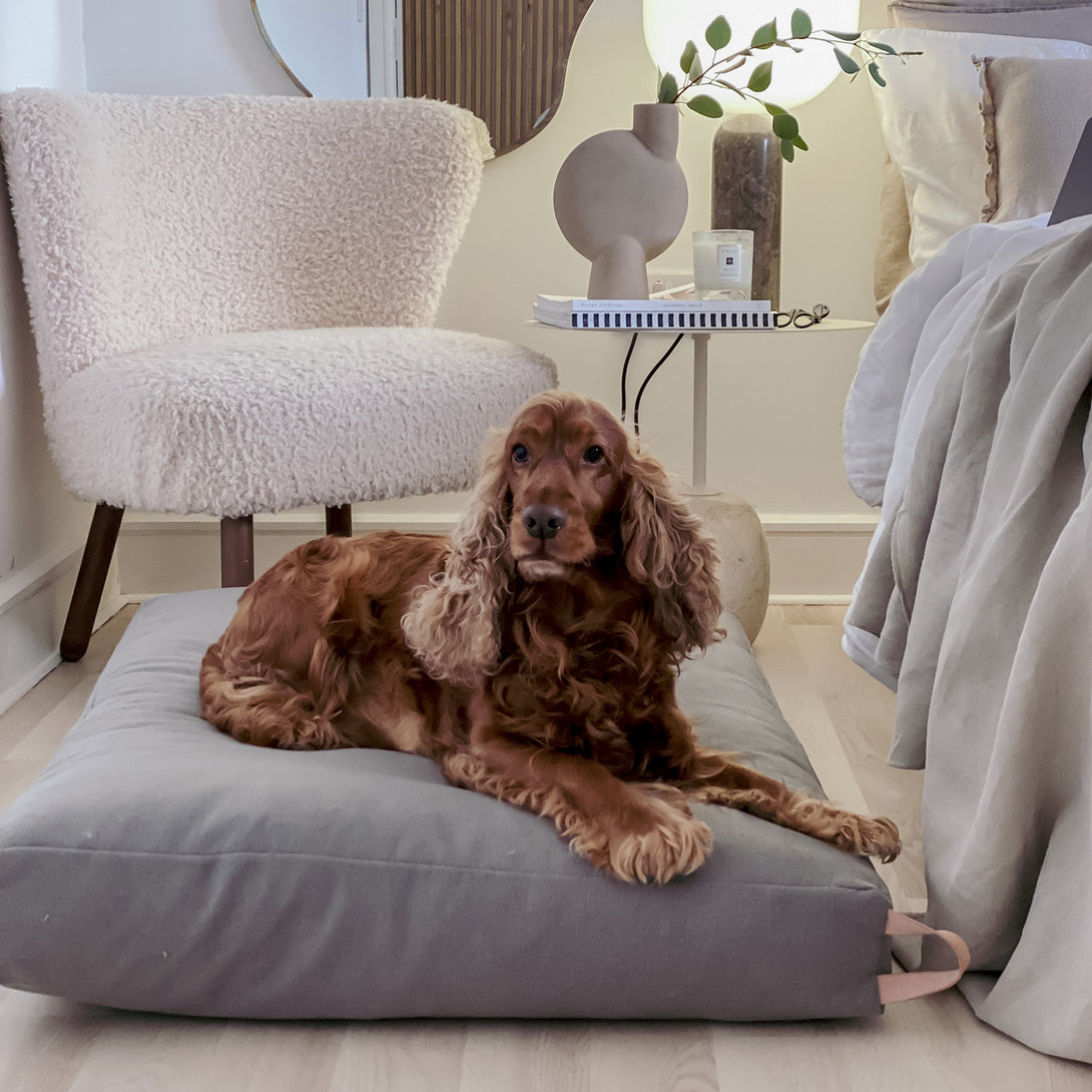 Luxury dog bed pastel colors Labbvenn