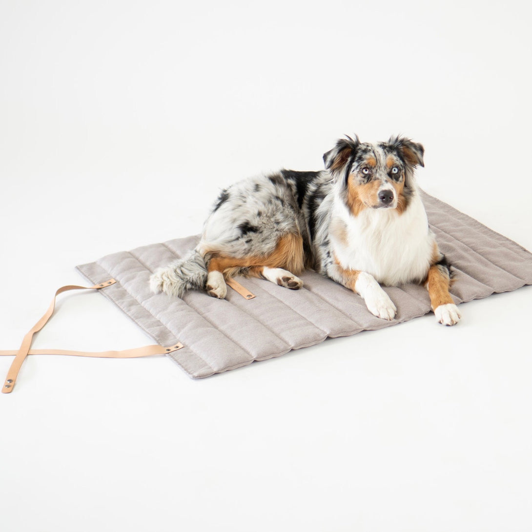 Modern Dog Travel Mat Labbvenn Beige - Portable Bed