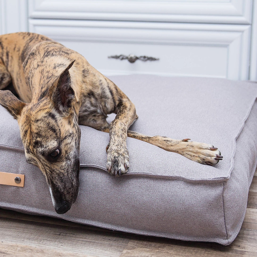 Labbvenn High-Quality Modern Classic Dog Cushion Walnut