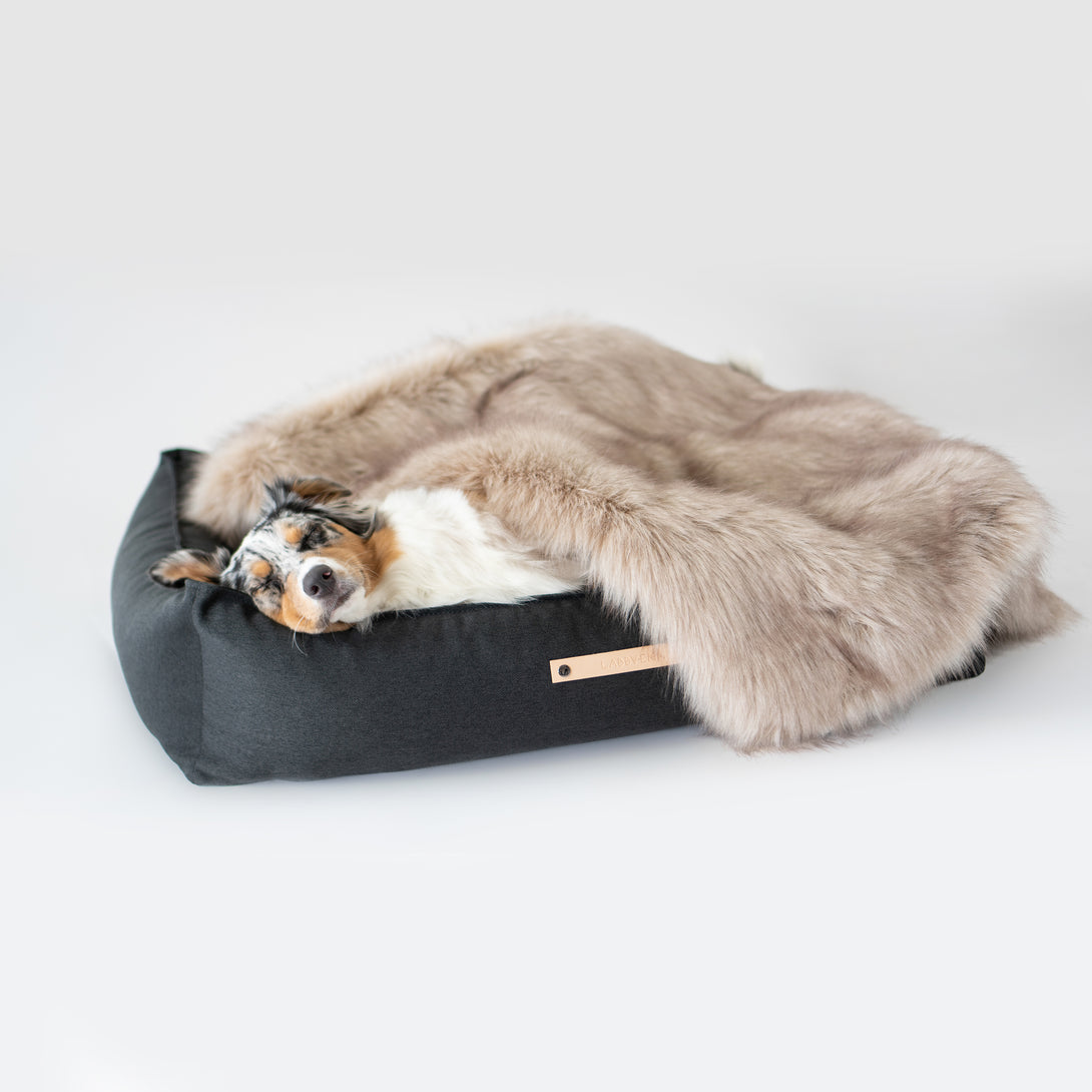 Luxury Fluffy Dog Blanket Cappuccino Brown Labbvenn