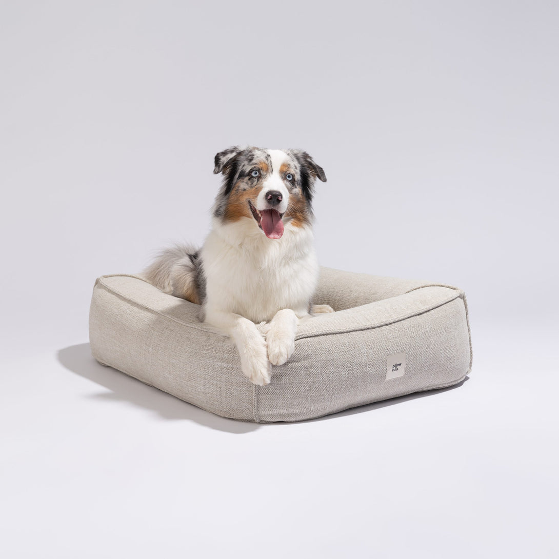 Beige Grey Eco-Friendly Modern Dog Bed Pillow Villa Frenchie
