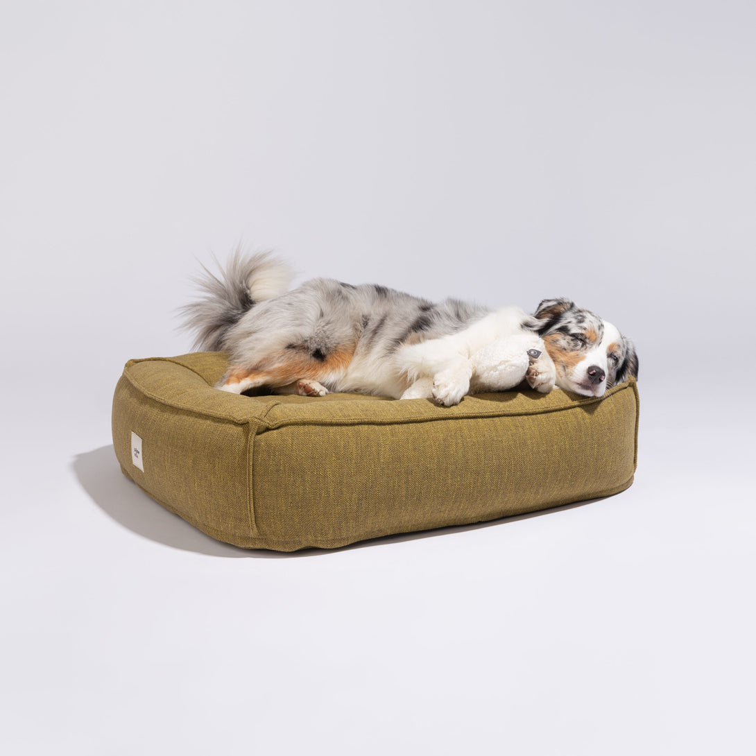 Modern Aesthetic Dog Bed Pillow Villa Removable Cover Eco-Friendly Lemnograss Green