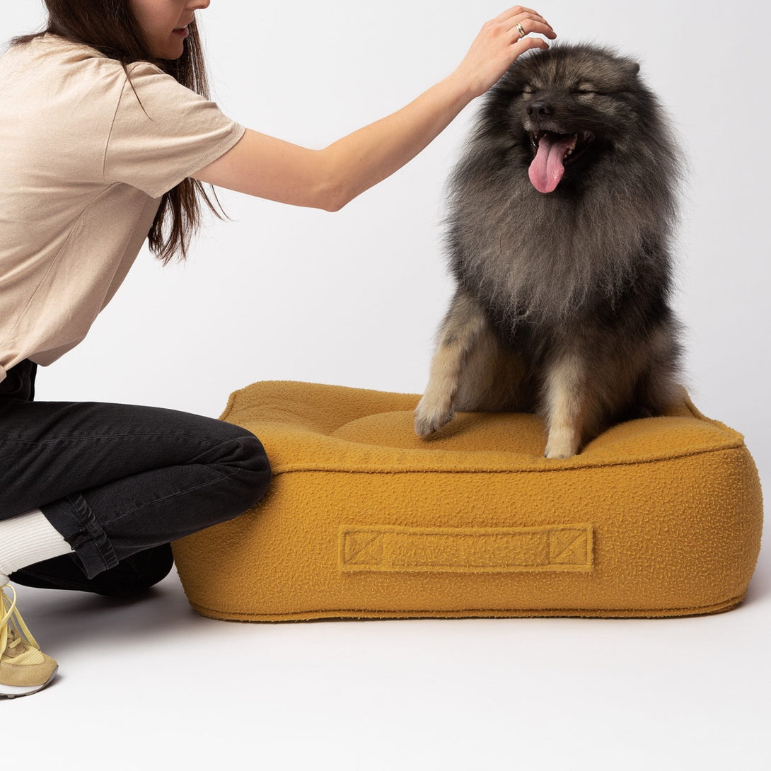 Eco-friendly Casentino Wool Luxury Designer Dog Bed Mustard by Pillow Villa