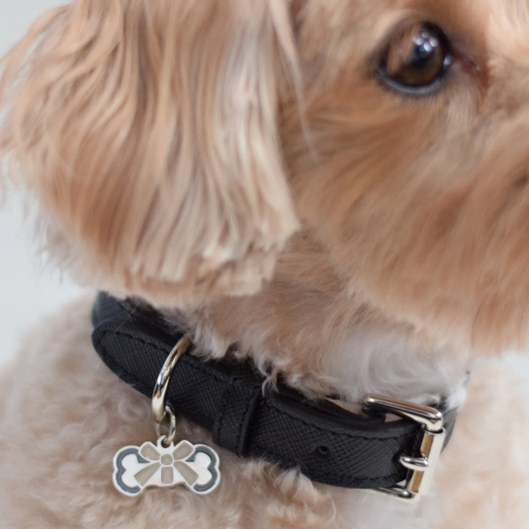 Adorable luxury black leather dog collar Bone & Home