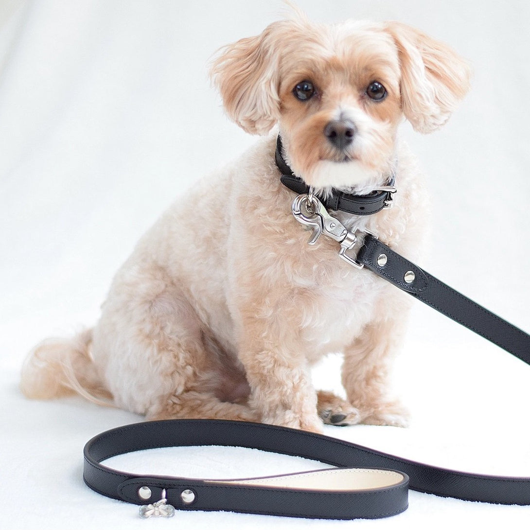 Bone & Home luxury leather black dog collar and leash