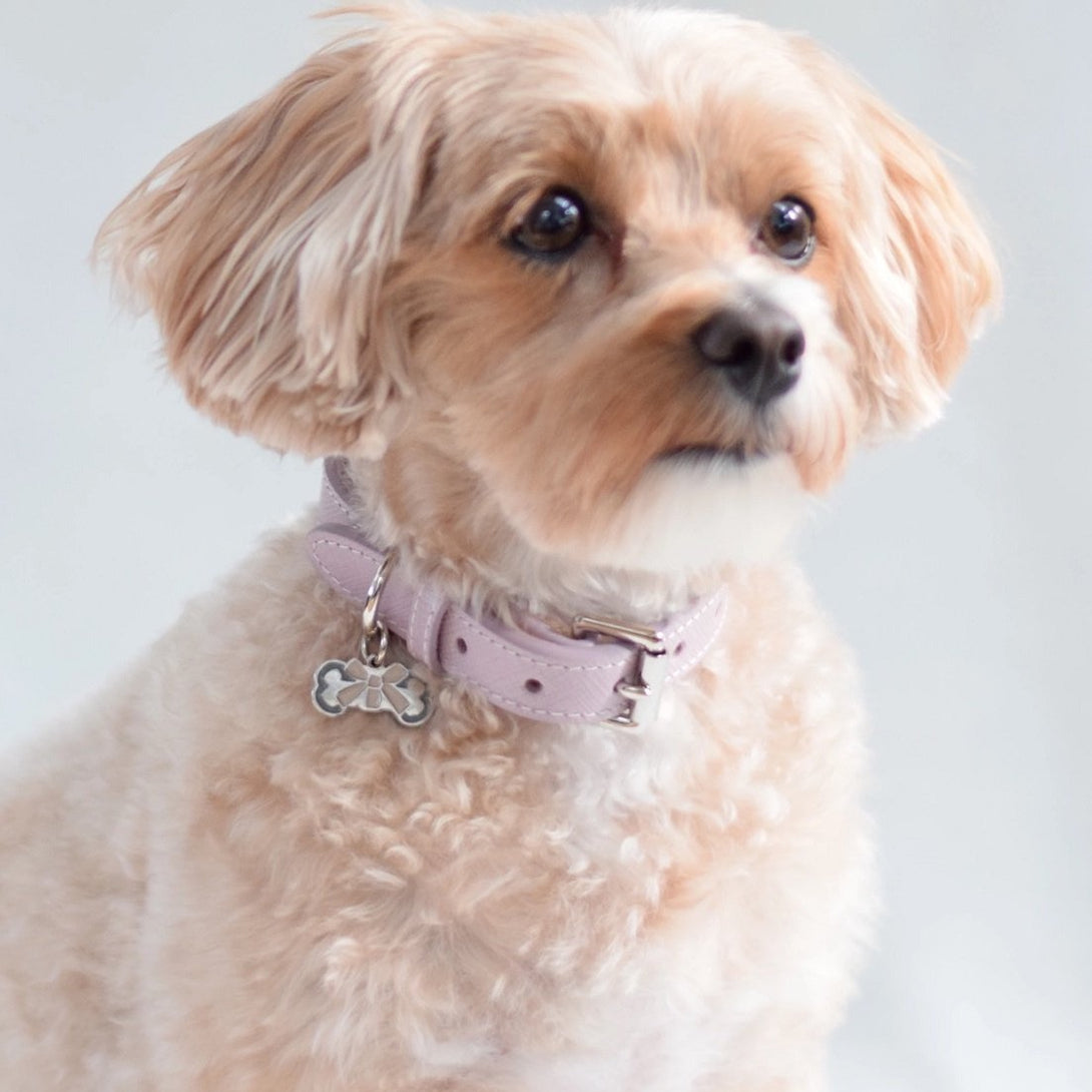 Pink Blush Cute Leather Dog Collar Bone & Home