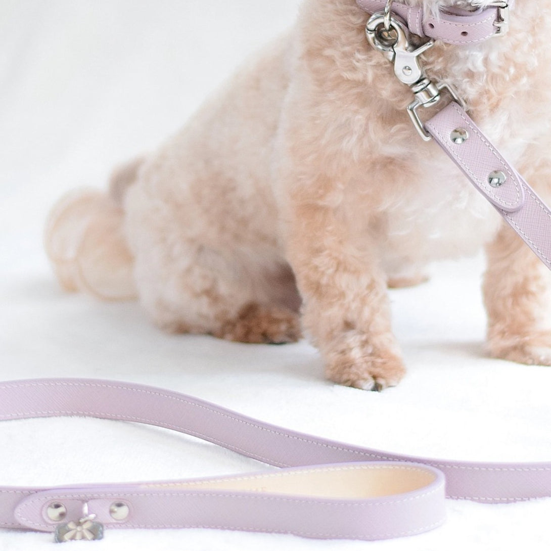 Cute Luxury Pink Blush Leather Dog Lead Bone & Home