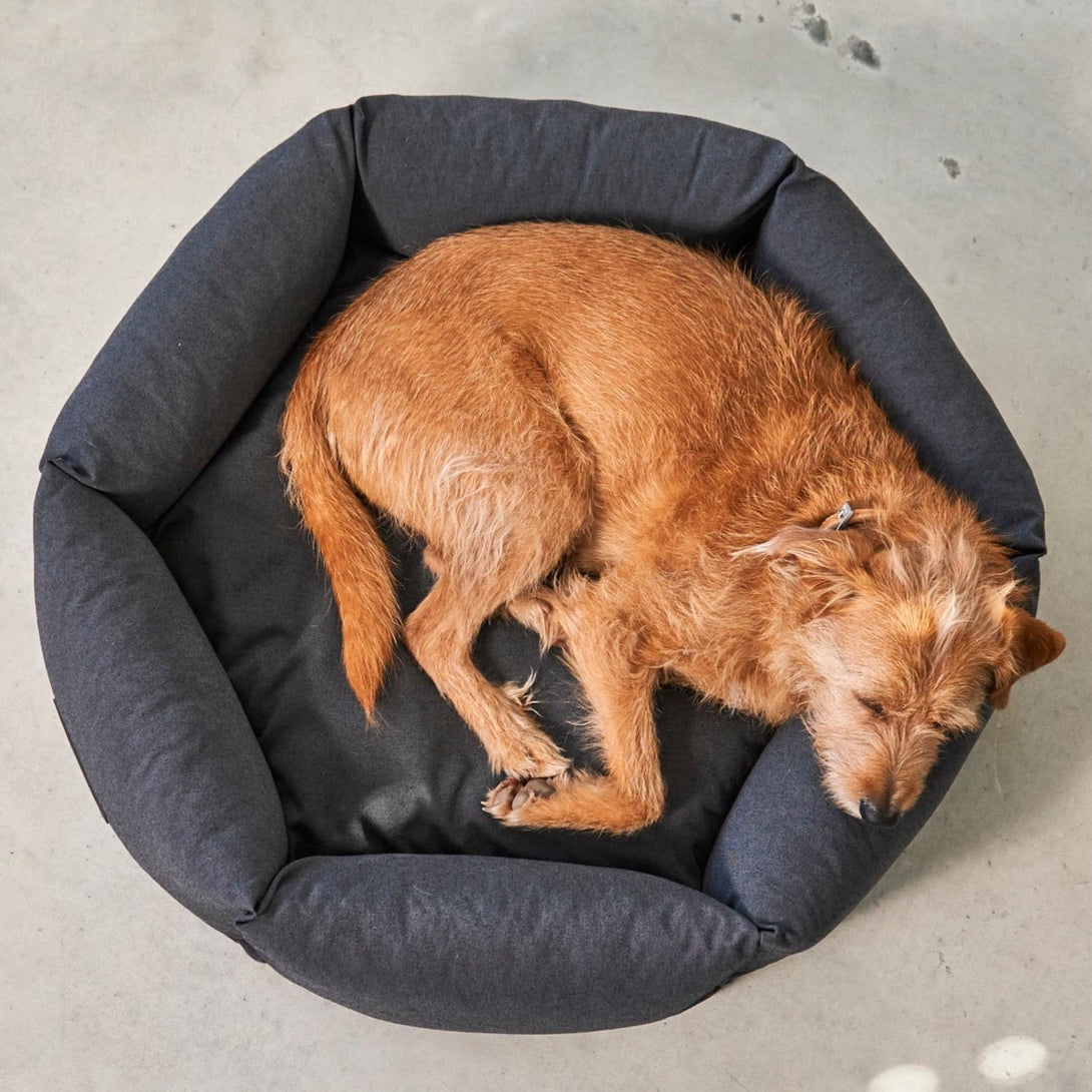 MiaCara Hexagon Dog Orthopedic Bed Grey Anthracite