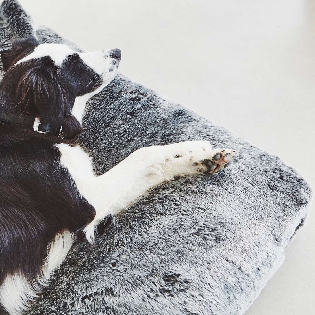 Designer Orhtopedic Dog Cushion MiaCara Felpa Faux Fur